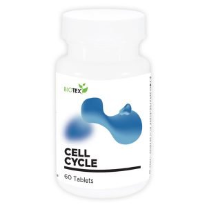 Cell Cycle