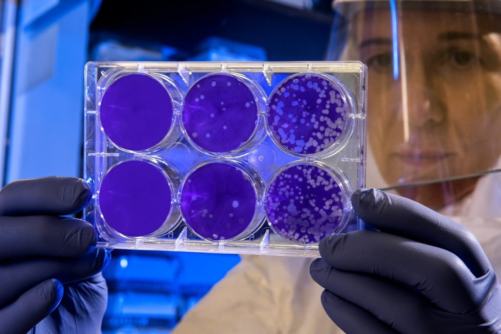 Stem Cells